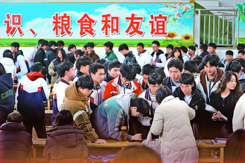 達(dá)州市2024年高職單招宣傳現(xiàn)場咨詢活動圓滿舉行