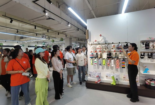 吉林省大學生走進遼源 創(chuàng)業(yè)就業(yè)雙選實踐活動成功舉辦，勞務(wù)派遣服務(wù)助力人才對接