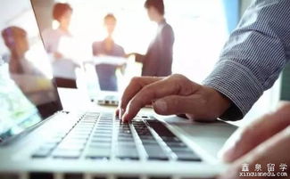 澳洲留學就業指南 靠譜專業推薦與實用求職攻略